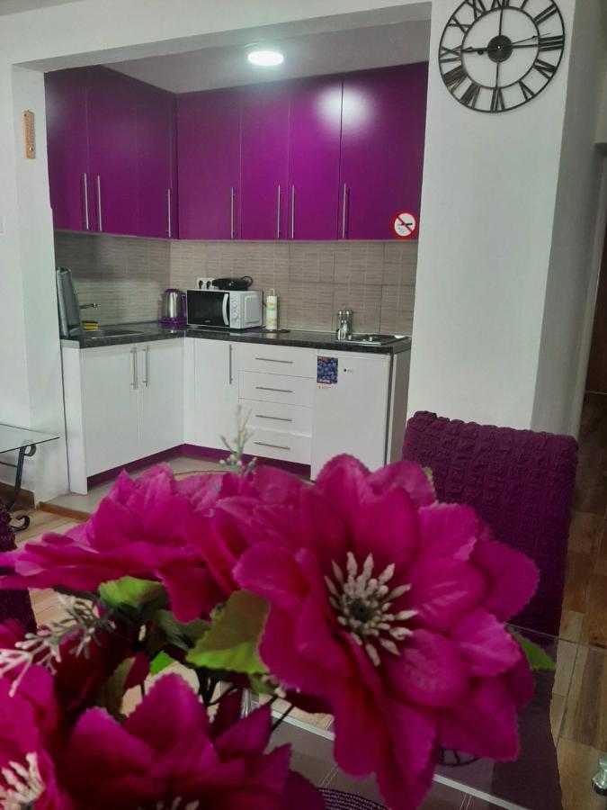 Family Apartment Near Old Town モスタル エクステリア 写真